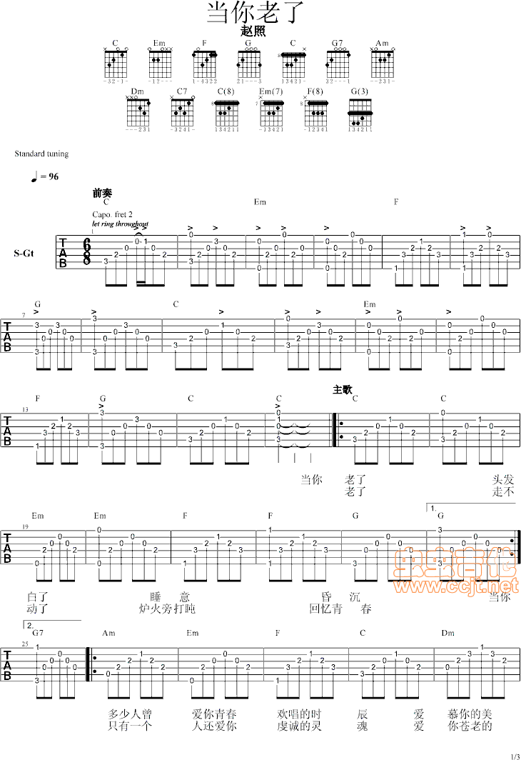 当你老了|赵照 带前奏,间奏,尾奏gtp6 pdf|吉他图片谱|赵照