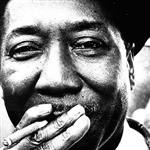 Muddy Waters