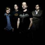 Gin Blossoms