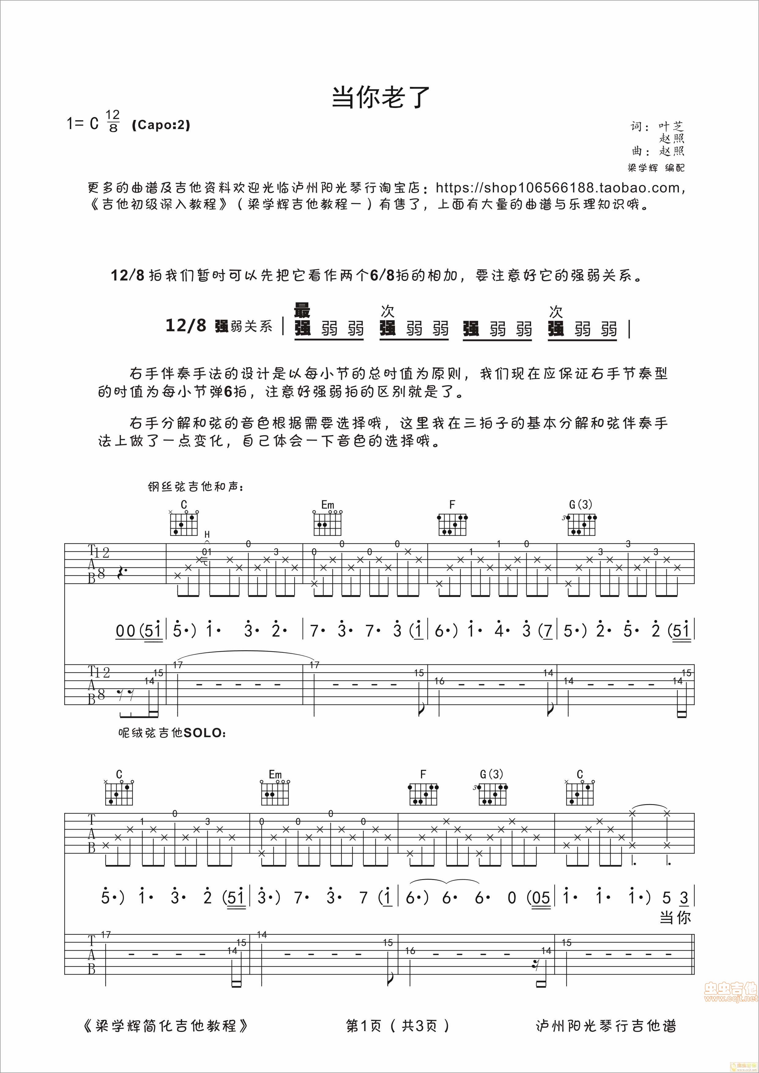 当你老了吉他谱第1页