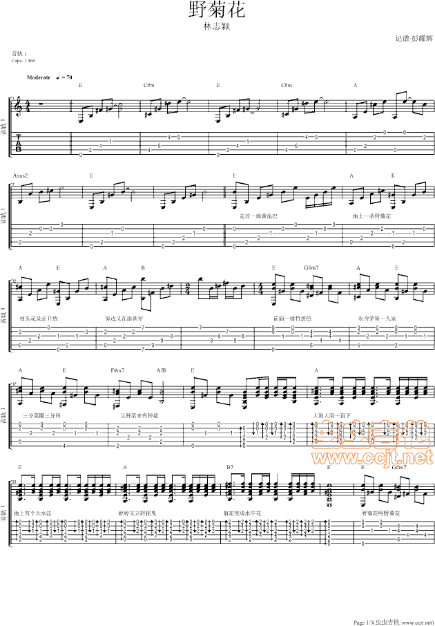 野菊花e调林志颖吉他图片谱林志颖吉他谱林志颖吉他图片谱3张