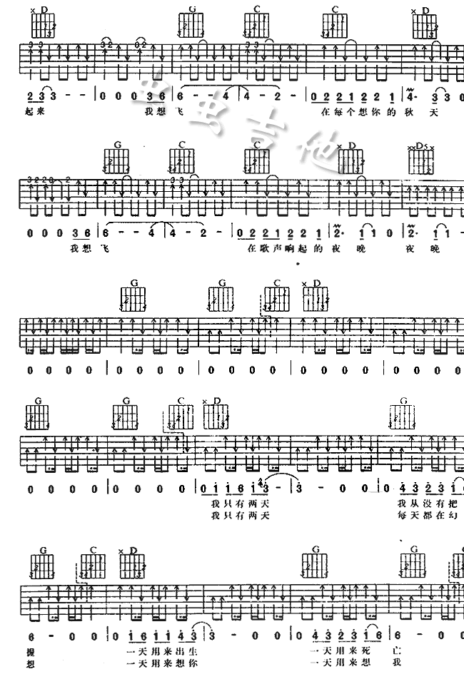 两天吉他谱第2页