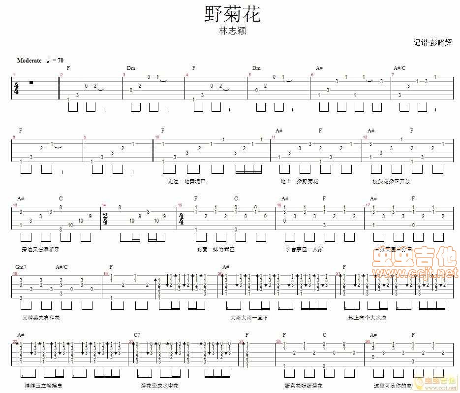 野菊花吉他谱第1页