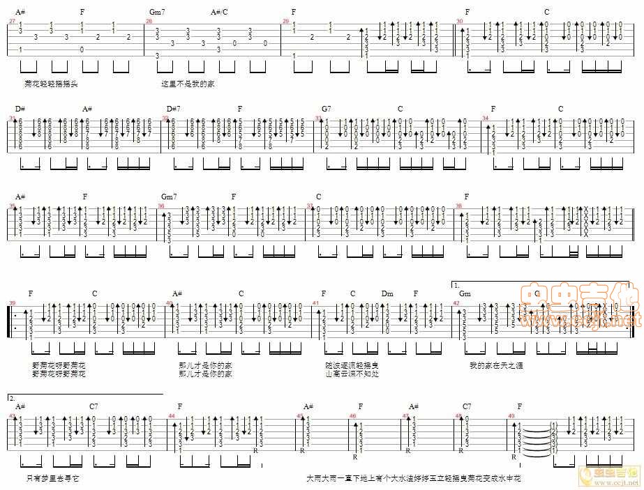 野菊花吉他谱第2页