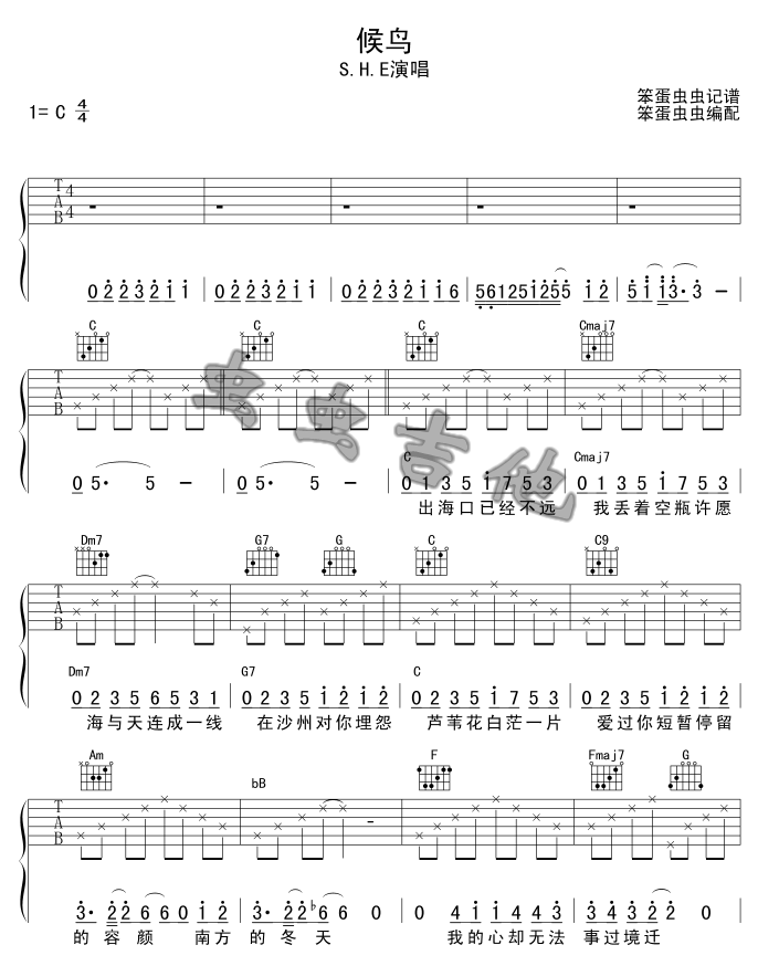 候鸟吉他谱第1页