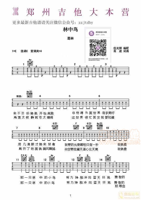 林中鸟吉他谱第1页