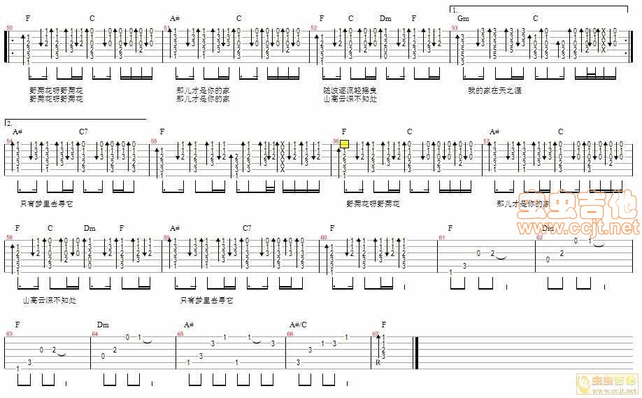 野菊花吉他谱第3页