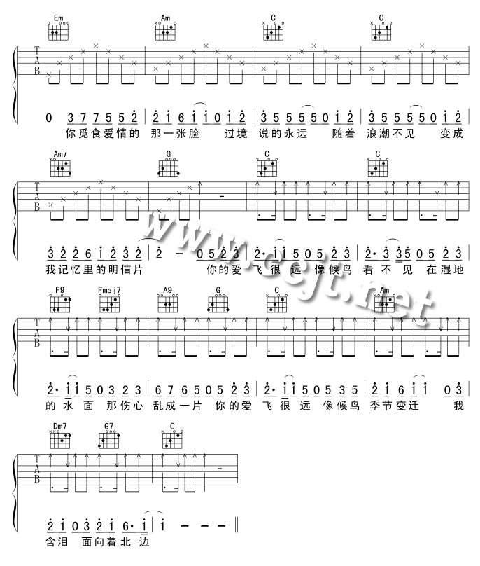 候鸟吉他谱第2页