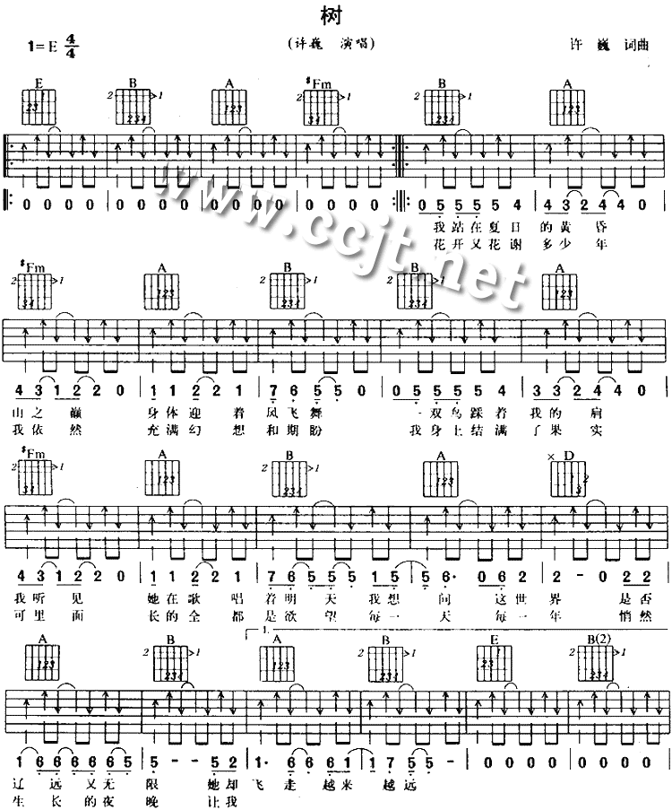 树吉他谱第1页