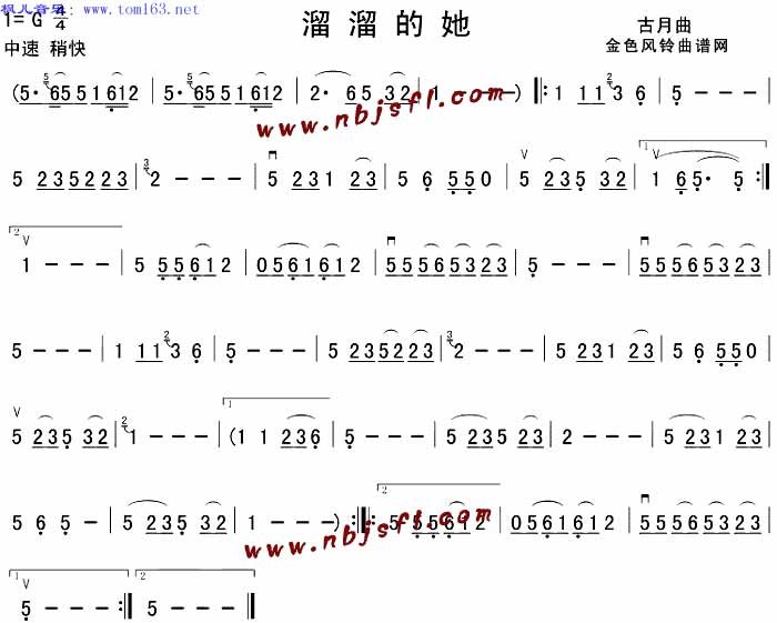 溜溜的她 二胡曲谱吉他谱