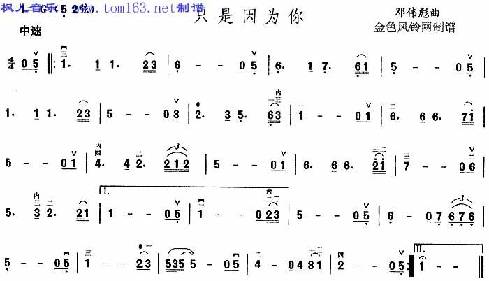 只是因你 二胡曲谱吉他谱