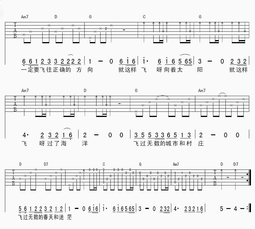 洪启 我是一只离群的鸟|吉他谱