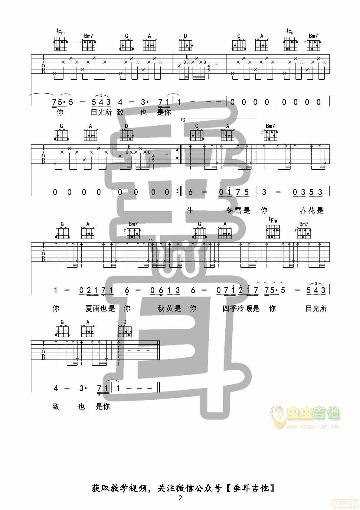 《往后余生》垂耳吉他弹唱+教学D